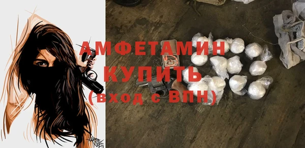 мет Алексин