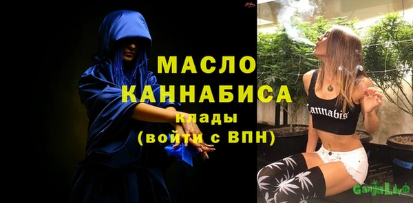 сатива Галич