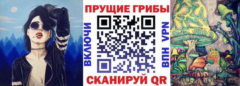 Псилоцибиновые грибы прущие грибы  Змеиногорск 
